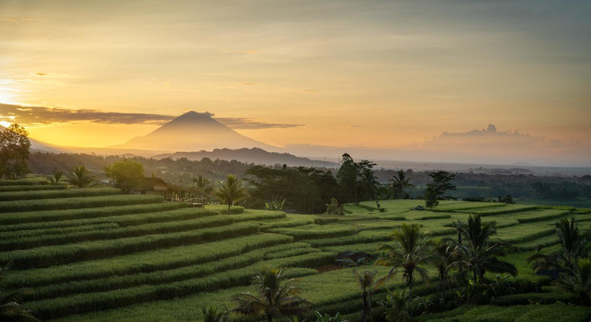 The Digital Detox Retreat_ Best Places to Unplug, Reconnect & Rejuvenate